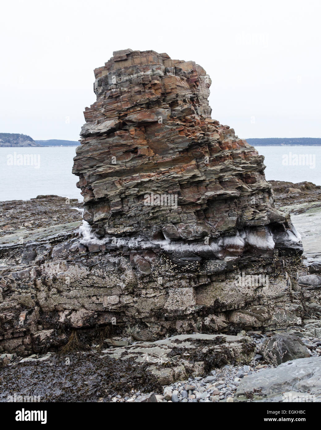 Ein Meer-Stapel gebildet aus erodierten Bar Harbor Bildung Stein ist mit Eis an der Flut umringt. Ufer Weg, Bar Harbor, Maine. Stockfoto