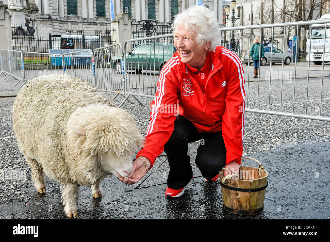 28. April 2013, Belfast, Nordirland. Dame Mary Peters, begleitet von Lord Mayor Gavin Robinson, hütet Schafe durch Belfast, nachdem sie die Freiheit der Stadt erhalten hatte. Stockfoto