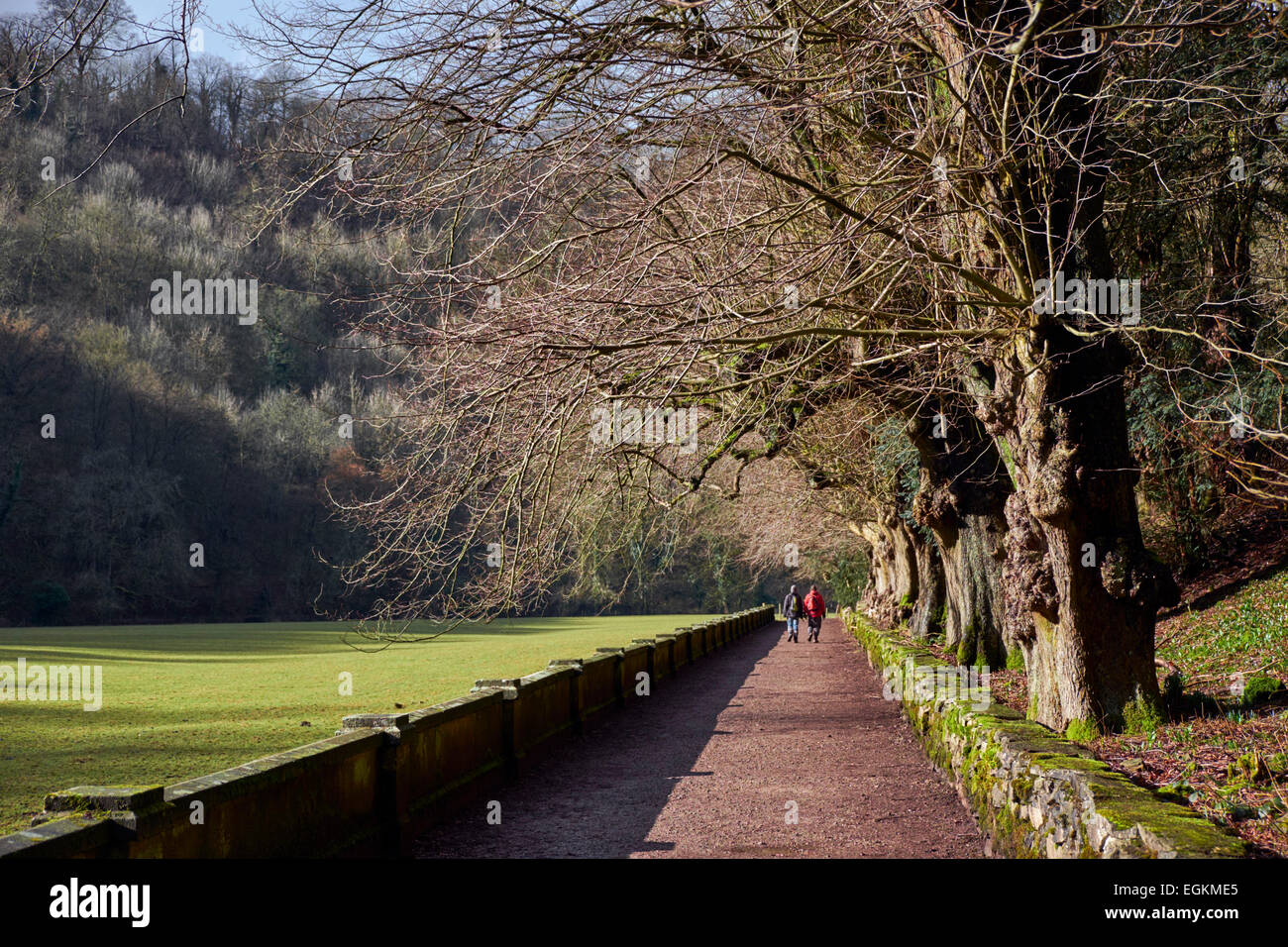 Wanderer auf den vielfältigen Spuren in Ilam Park. Ilam, Staffordshire, England. [Peak District National Park] Stockfoto