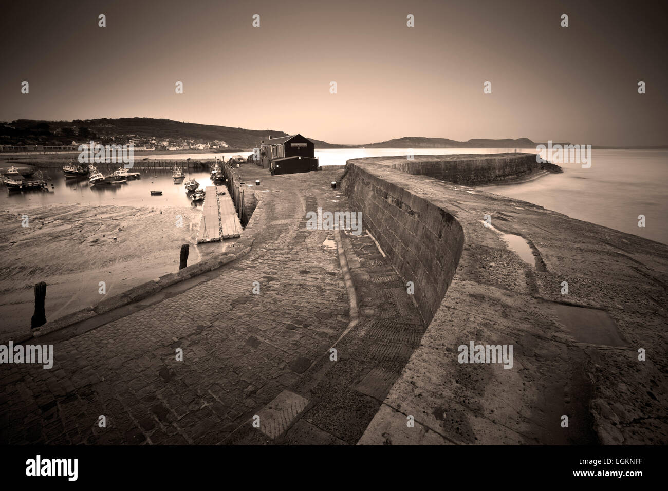 Der Cob Lyme Regis Dorset, UK Stockfoto