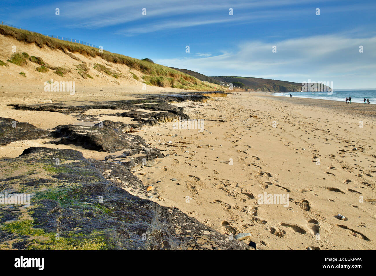 Felsfreie Sand; Fossiler Wald Cornwall; UK Stockfoto