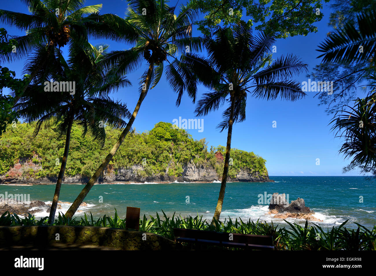Blick auf Onomea Bay aus Hawaii Tropical Botanical Garden, Big Island, Hawaii, USA Stockfoto
