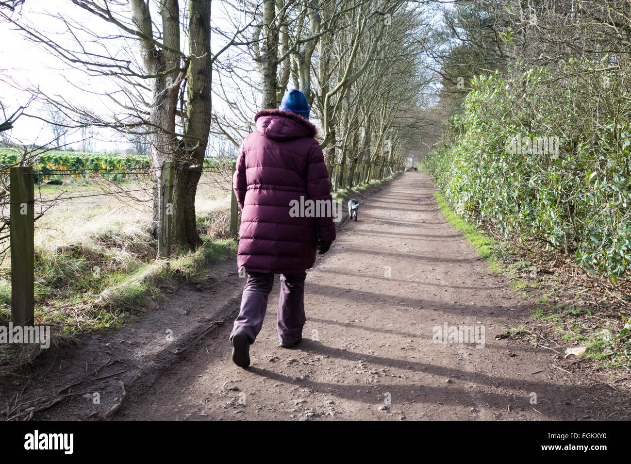 Frau zu Fuß in der Tyninghame, East Lothian Stockfoto