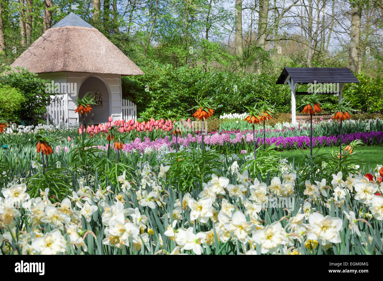 Frühlingsblumen im niederländischen Frühling Garten Keukenhof in Lisse, Niederlande. Stockfoto