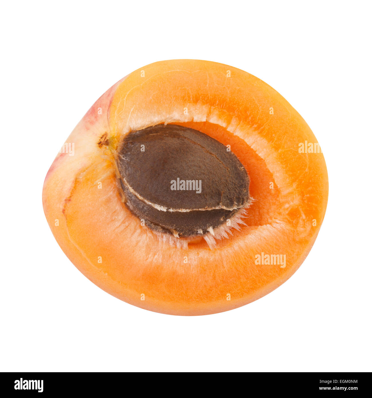 Die Hälfte der Aprikosen mit Frucht Kern Stockfoto