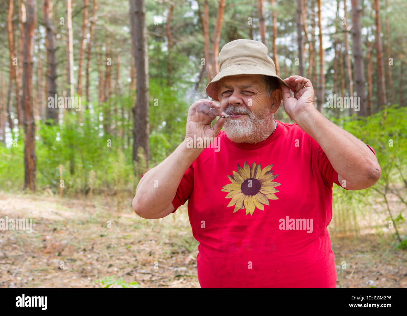 Senior woman Verkostung neue selbst angebautem Tabak mit Zigarette selbst gerollt Stockfoto