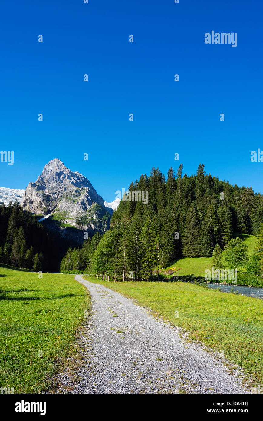 Europa, Schweiz, Schweizer Alpen Jungfrau-Aletsch-Unesco Website, Berner Oberland Alpin Pass Meiringen nach Grindelwald, Klein Wellho Stockfoto