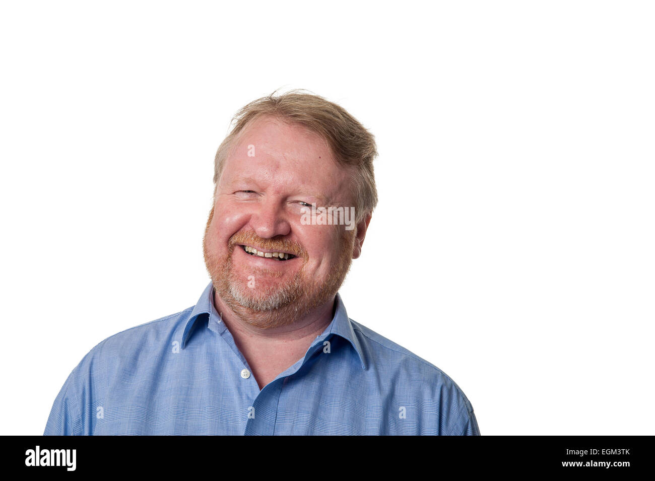 Porträt des bärtigen übergewichtigen Mann mittleren Alters lachen, isoliert auf weiss Stockfoto