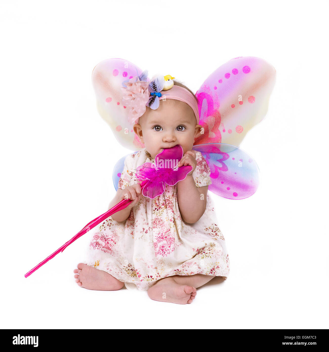 Entzückende Babymädchen gekleidet wie eine Fee. Isoliert auf weiss Stockfoto