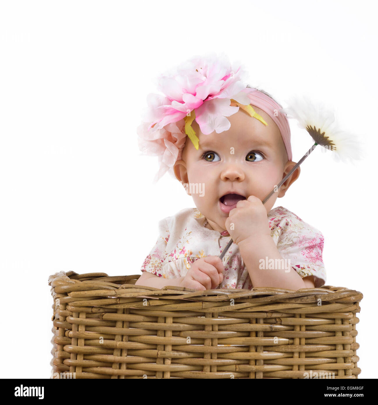 niedliche Baby in eine Blumenkleid sitzt in einem Blumenkorb Stockfoto