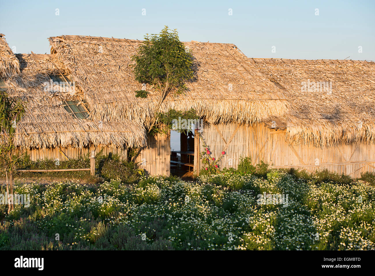 Thatched Dach Hütte und Blumen in Mon Jam, Chiang Mai, Thailand Stockfoto