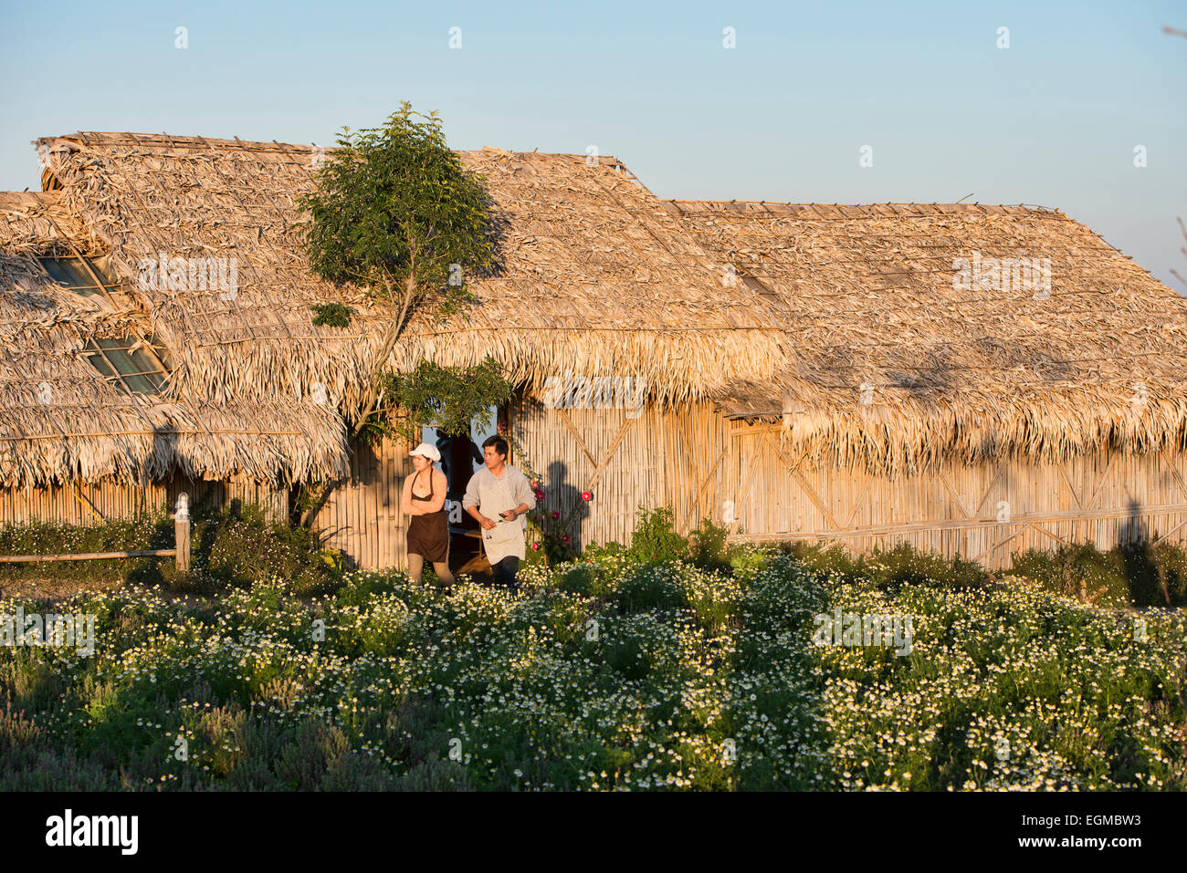 Thatched Dach Hütte und Blumen in Mon Jam, Chiang Mai, Thailand Stockfoto