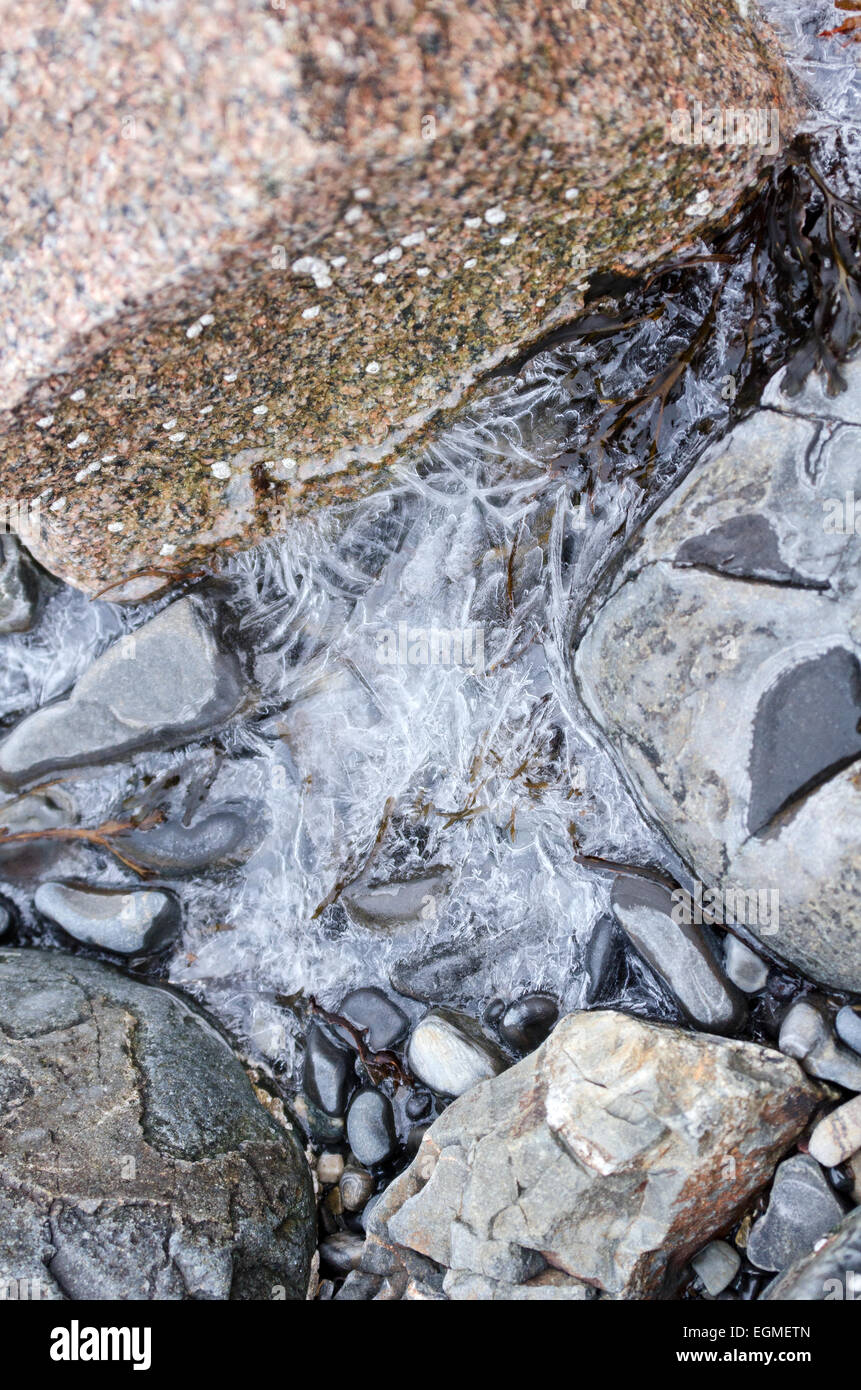 Wild gemusterte Eis deckt eine gefrorene Tidepool in Bar Harbor, Maine. Stockfoto