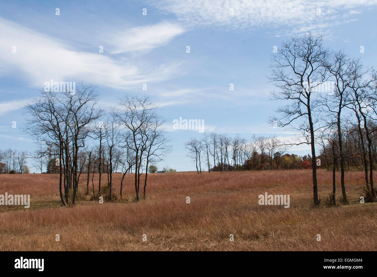 Landschaft im Greene County im südlichen Indiana Stockfoto