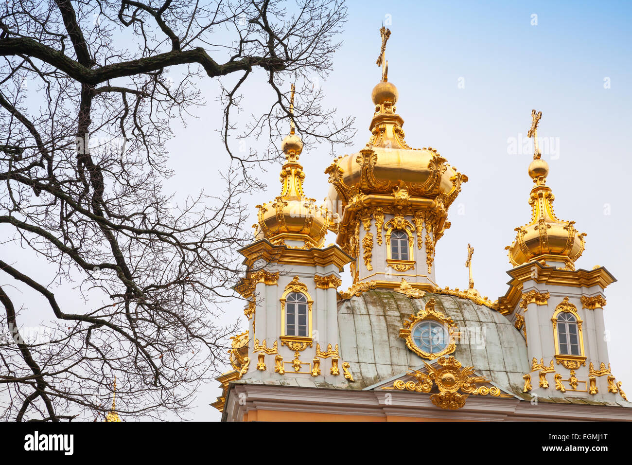 Blattlose Bäume und die Kirche der Heiligen Peter und Paul in Peterhof, St. Petersburg, Russland. Es war im Jahre 1747-1751 durch Rastrel bauen Stockfoto