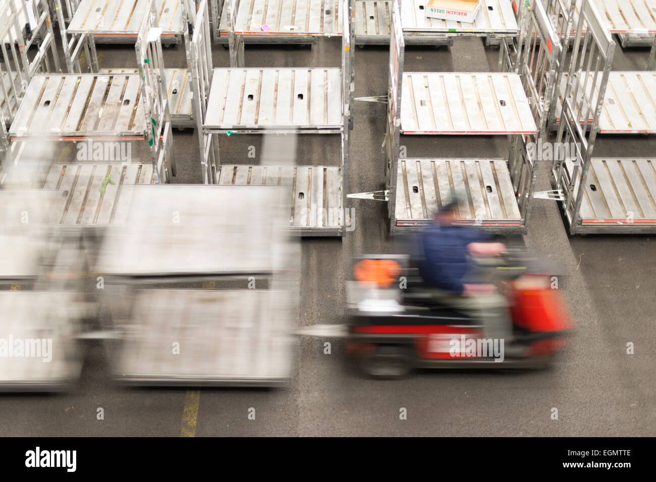 Ein Arbeiter zieht Paletten und Wagen um in Aalsmeer Flora Holland Blume Auktion Lager Amsterdam mit Motion blur Stockfoto