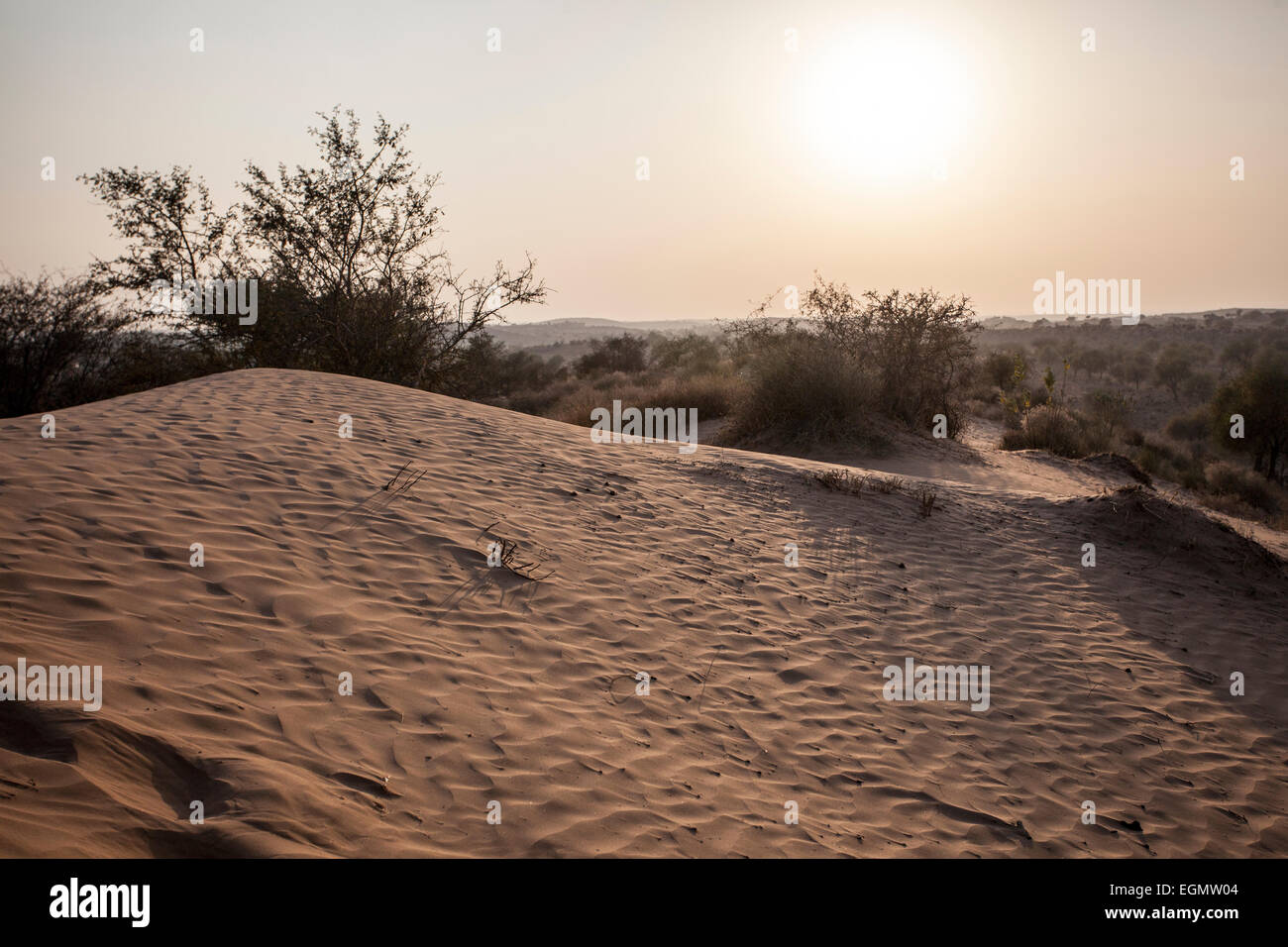 Indische Wüste Osian Stockfoto