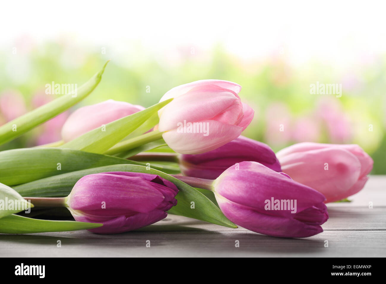 Strauß Tulpen auf Tisch, Nahaufnahme. Stockfoto