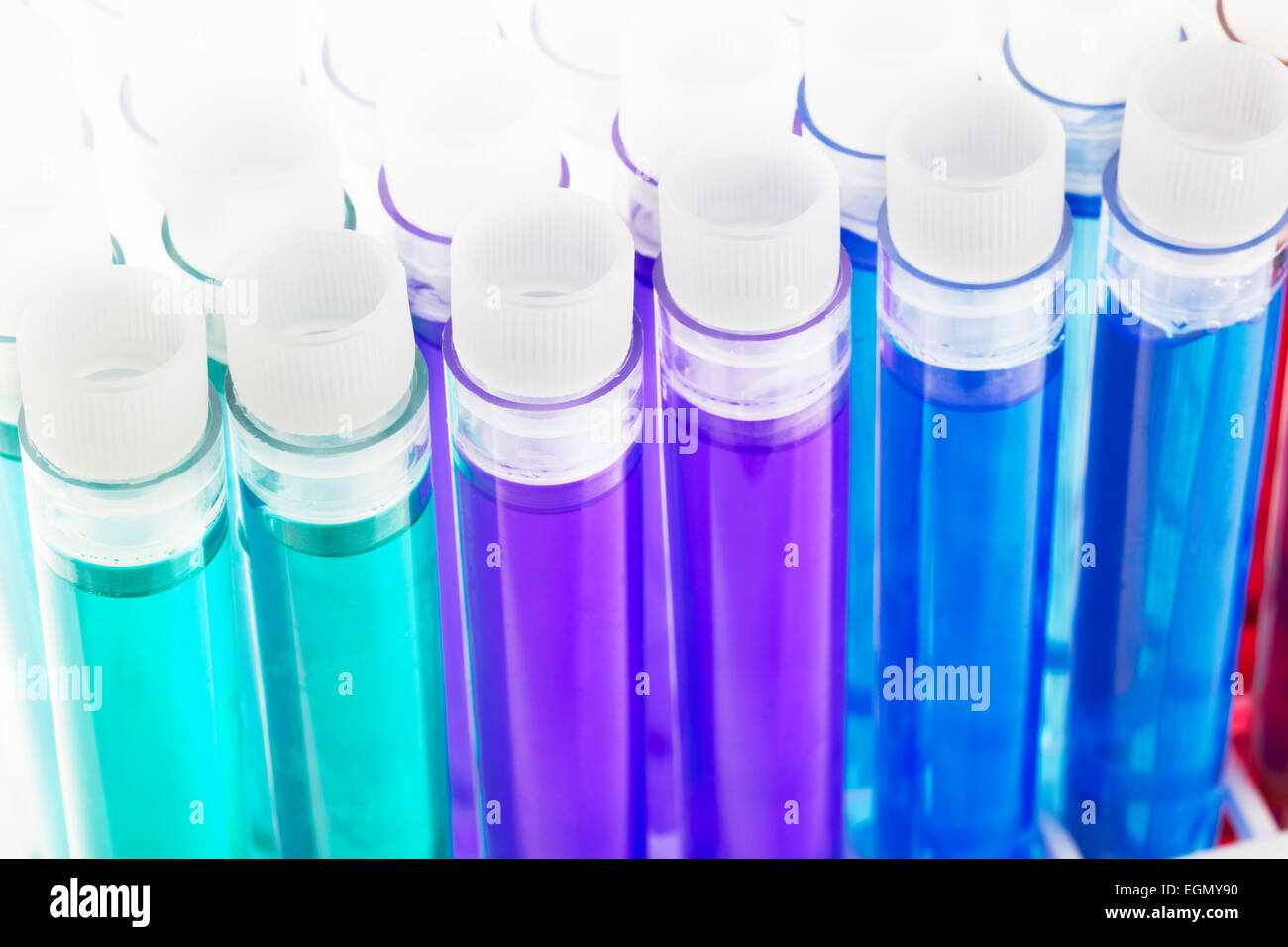 Bunte Flüssigkeiten, grün, lila, blau, rot und gelb, im Reagenzglas mit Stopfen. Stockfoto