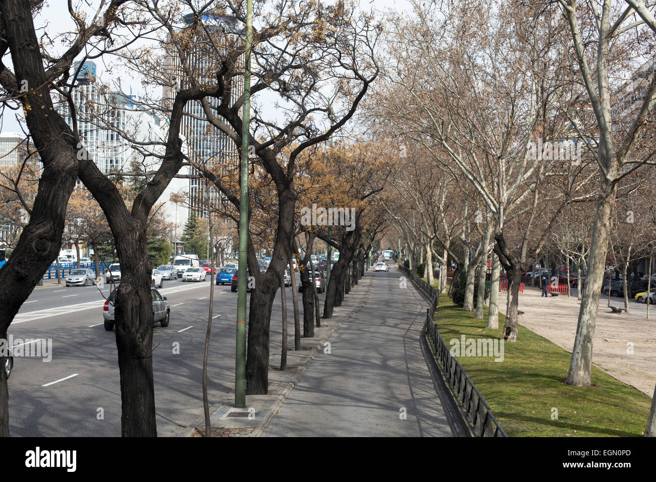 Paseo del Prado Hauptstraße Straße Busspur Stockfoto