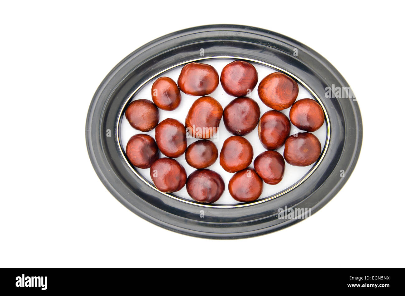 Conker Früchte Samen Chesnuts in ovaler Bilderrahmen isoliert auf weiss Stockfoto