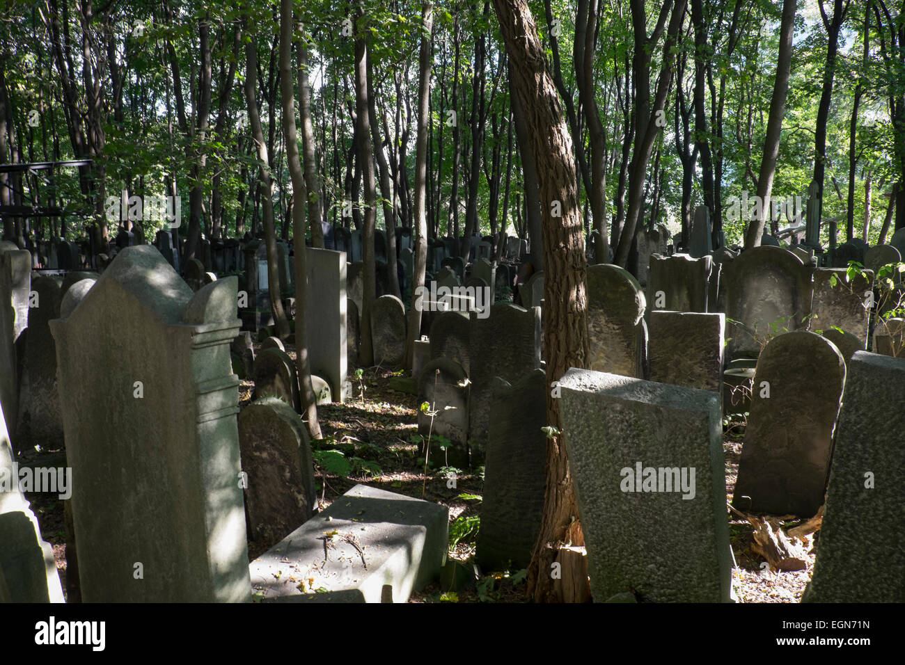 Jüdischer Friedhof in Warschau, Polen Stockfoto