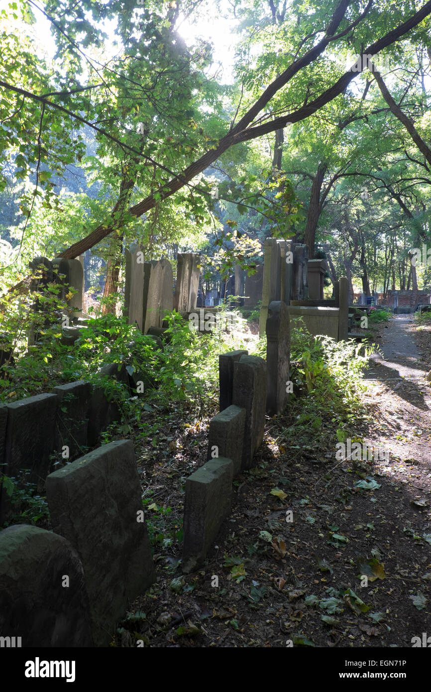 Jüdischer Friedhof in Warschau, Polen Stockfoto