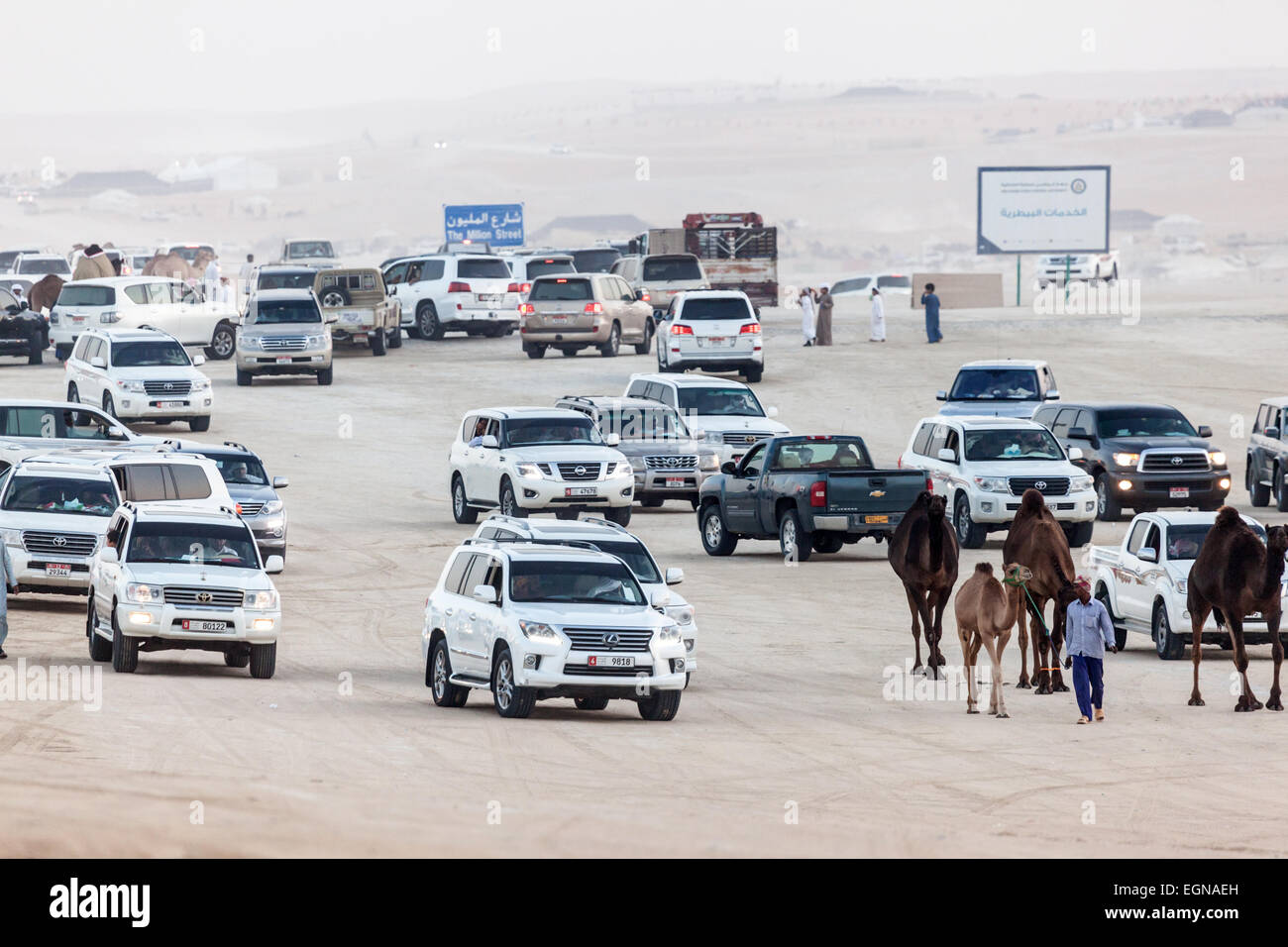 Vereinigte Arabische Emirate Menschen in ihren Autos auf Al Dhafra Camel Festival in Al Gharbia. Madinat Zayed, Emirat Abu Dhabi Stockfoto