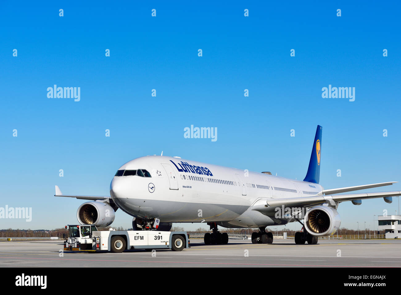 Lufthansa, Airbus A340-600, Push zurück, Stockfoto