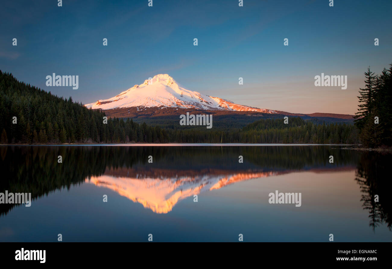 Festlegen von Sonnenlicht auf Mount Hood von Cascade Mountains, Trillium Lake, Oregon, USA Stockfoto