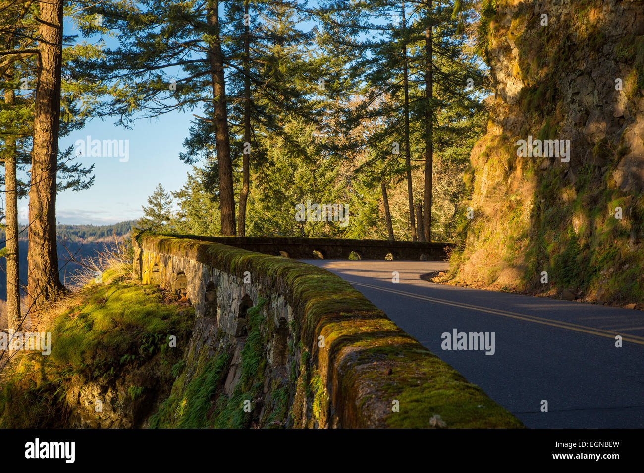 Enge Kurve entlang der Columbia River Scenic Highway, Cascade Mountains, Oregon, USA Stockfoto