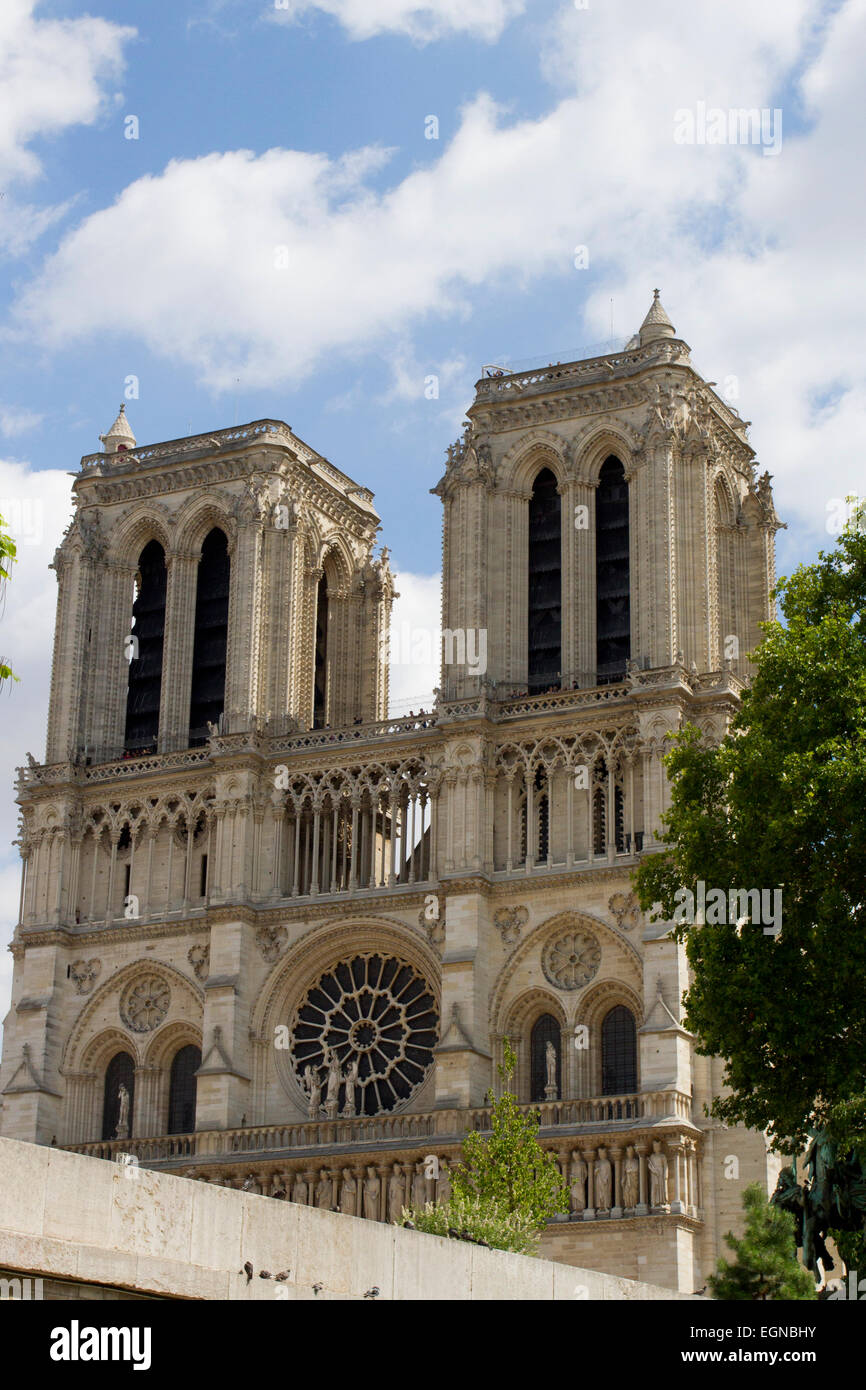 Kathedrale Notre-Dame, Île De La Cité, Paris, Frankreich, Westfassade von Seine im August Stockfoto