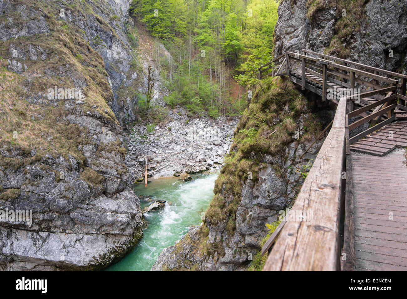In Der Lammerklamm Schlucht Lammer fen Lammer River Tennengebirge in-der-lammerklamm-schlucht-lammer-fen-lammer-river-tennengebirge
