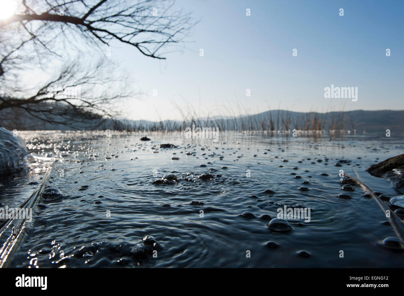 Mofette Bläschen am Laacher See Laach siehe CO2-Mendig Eifel Rheinland-Pfalz Deutschland Europa Stockfoto