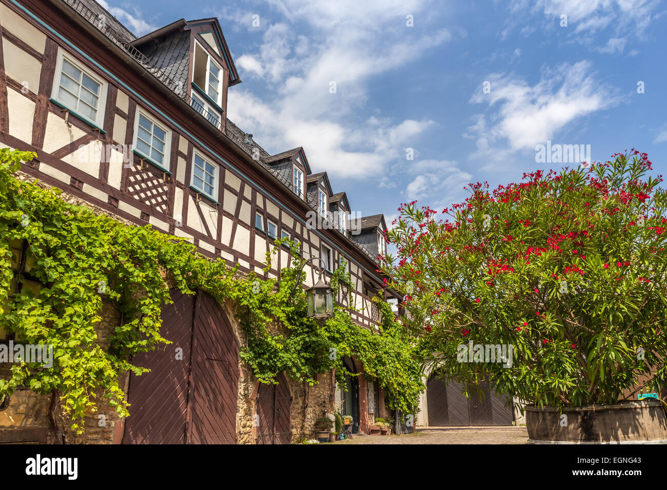 Torbogen auf einem Weingut in Eltville, Rhein, Deutschland Stockfoto