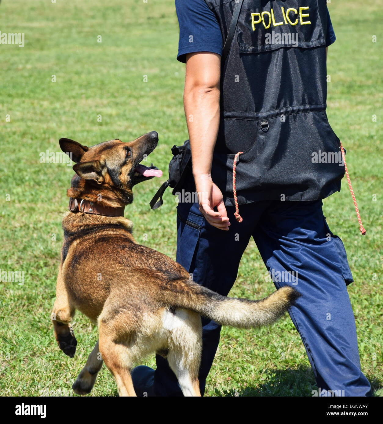 Polizist mit seinem deutschen Schäferhund Stockfoto