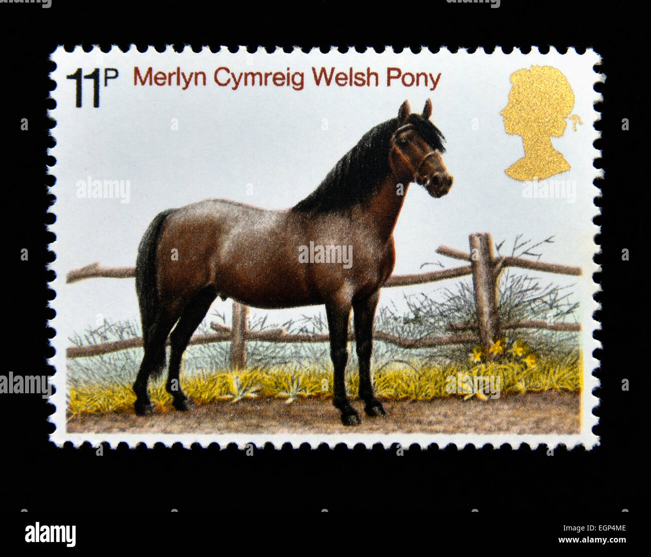 Briefmarke. Great Britain. Königin Elizabeth II. 1978. Pferde. Merlyn Cymreig Welsh Pony. 11p. Stockfoto