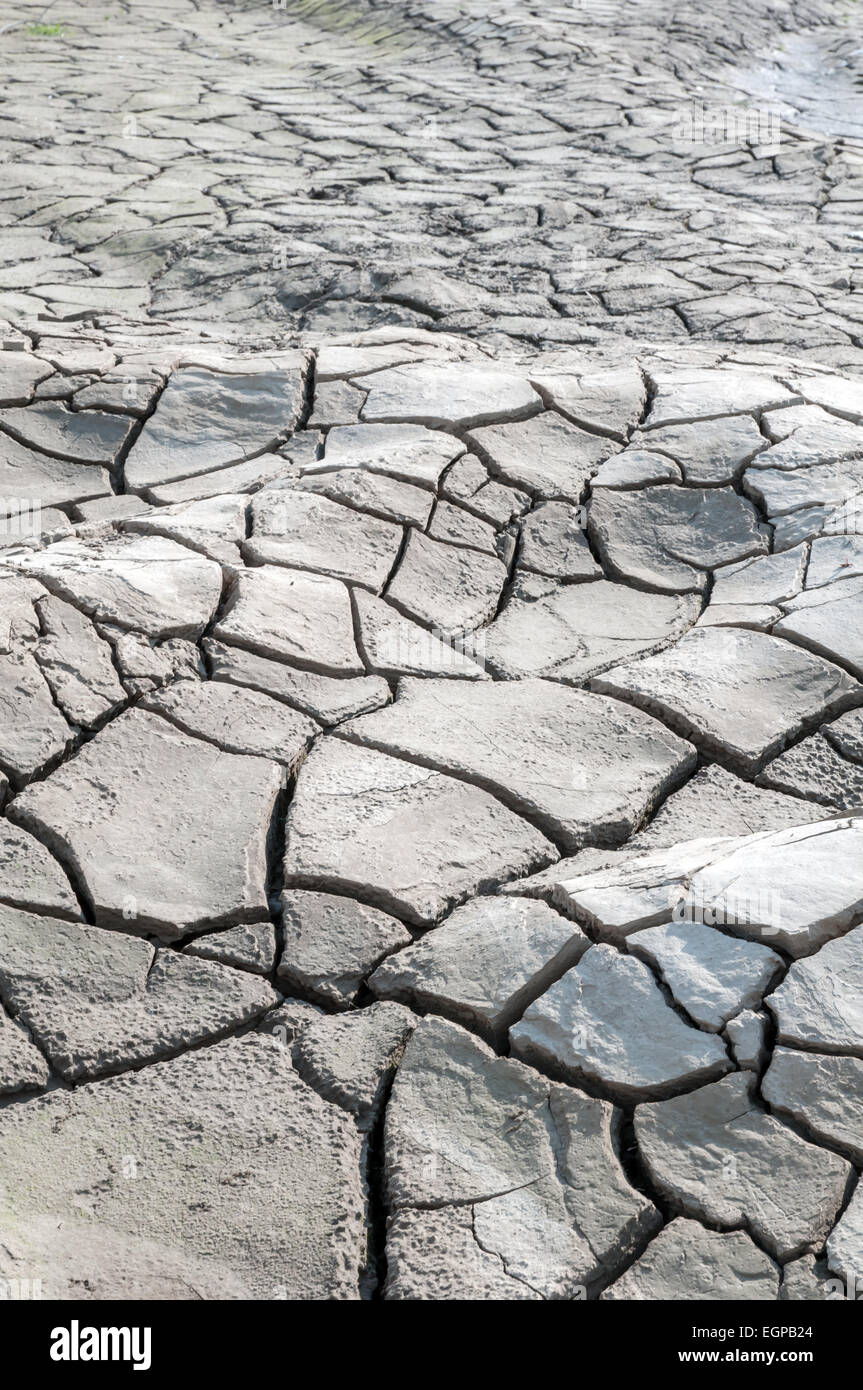 Das gebrochene Wachstum hautnah Stockfoto