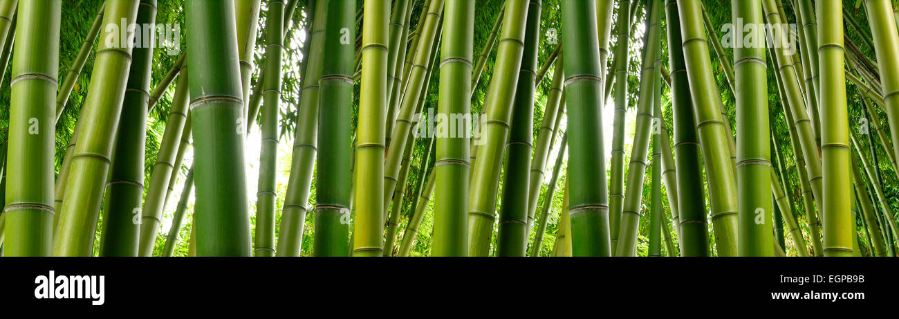 badematte holz bambus Bambus Badematte LEVEL Natur 60x115 cm kaufen – Kleine Wolke Shop main image 0