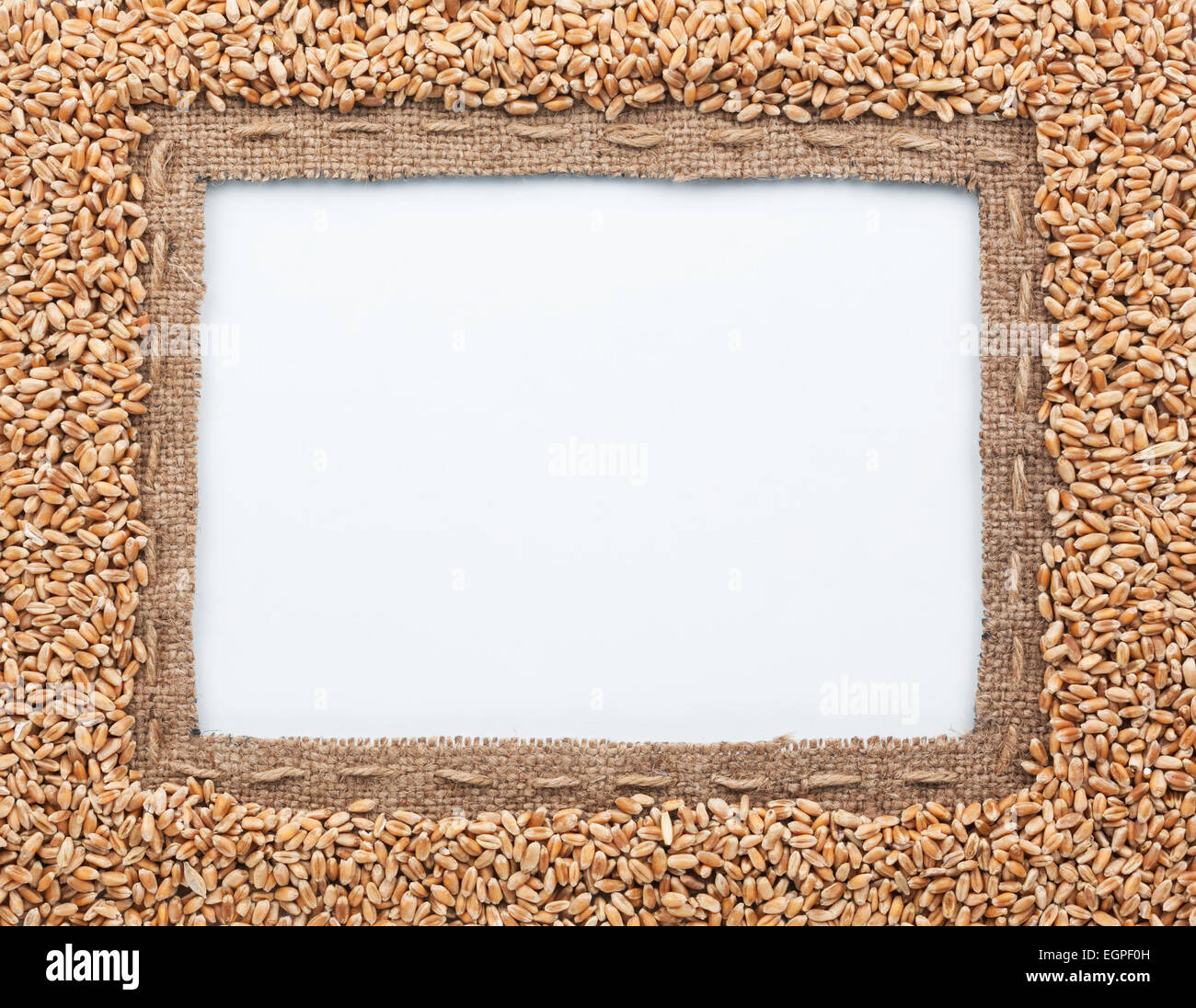 Rahmen aus Sackleinen und Weizen Bohnen, liegend auf einem weißen Hintergrund Stockfoto
