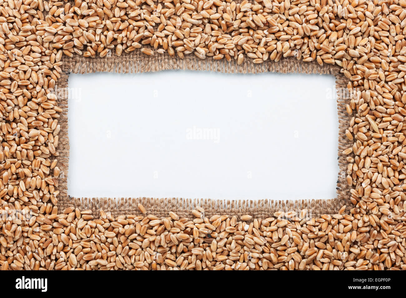 Gestell aus Sackleinen mit Weizen, auf weißem Hintergrund Stockfoto