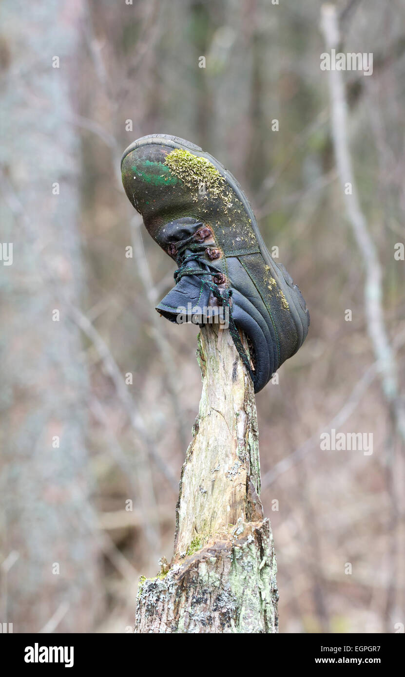 Eine alte verlorenen Schuh oder Stiefel im Wald auf einen gebrochenen Baum-Tipp Stockfoto Eine alte verlorenen Schuh oder Stiefel im Wald auf einen gebrochenen Baum-Tipp Stockfoto
