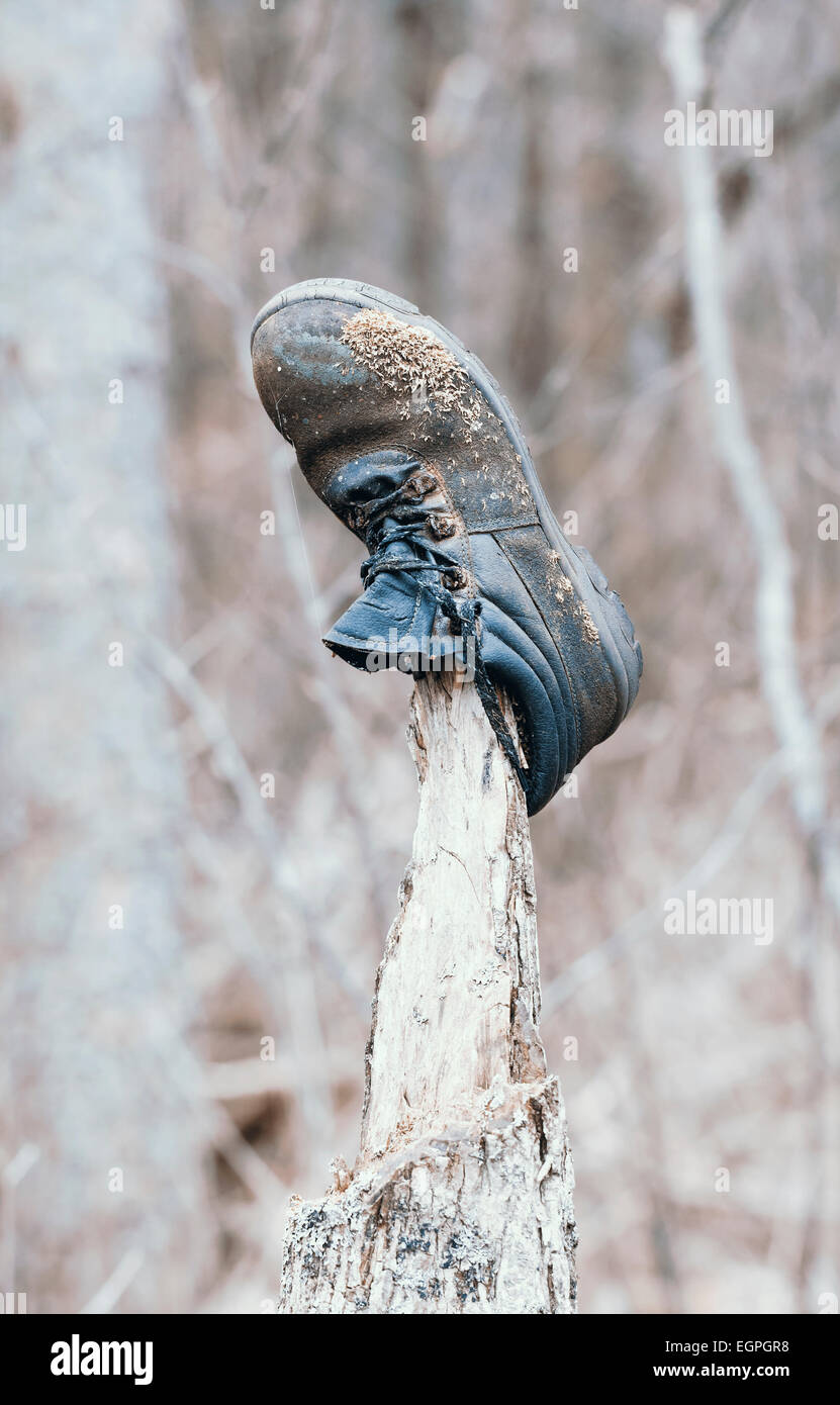Eine alte verlorenen Schuh oder Stiefel im Wald auf einen gebrochenen Baum-Tipp Stockfoto Eine alte verlorenen Schuh oder Stiefel im Wald auf einen gebrochenen Baum-Tipp Stockfoto