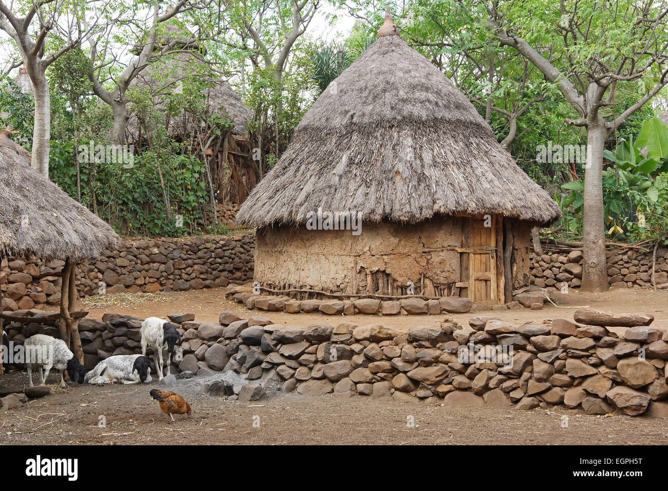 Dorf von Konso Menschen, Äthiopien, Afrika Stockfoto