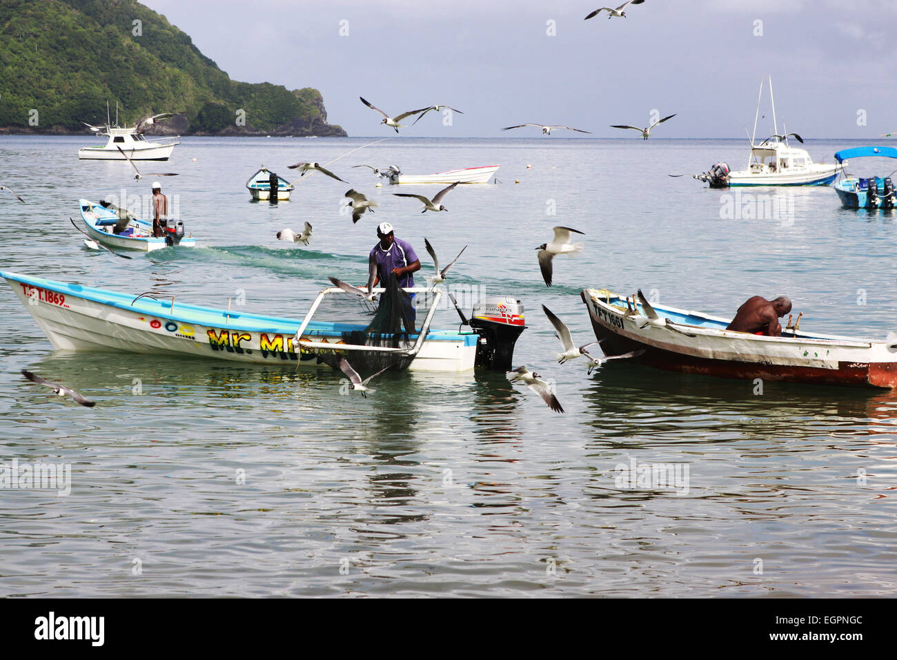 Szene in Tobago der Fischer auf Booten Fischernetze zu sammeln, wie Möwen overhead Schwarm, um Fische zu füttern. Stockfoto