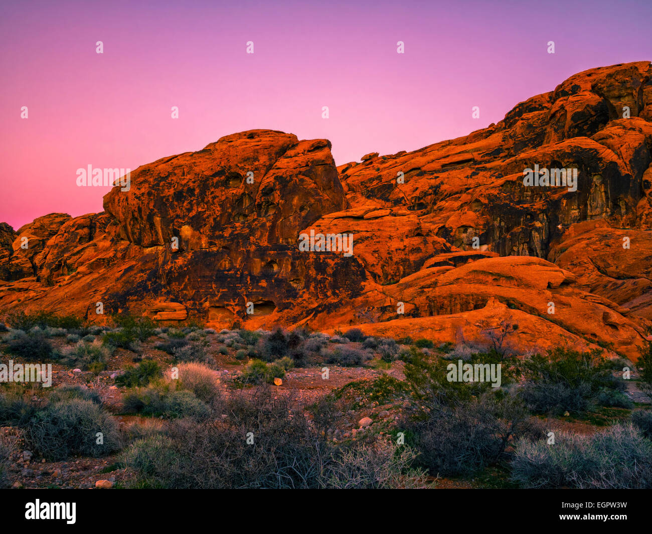 Roten Felsformationen im Valley of Fire State Park, Nevada, USA, blaue Stunde nach Sonnenuntergang, Mojave-Wüste, Serien mit Textfreiraum Stockfoto
