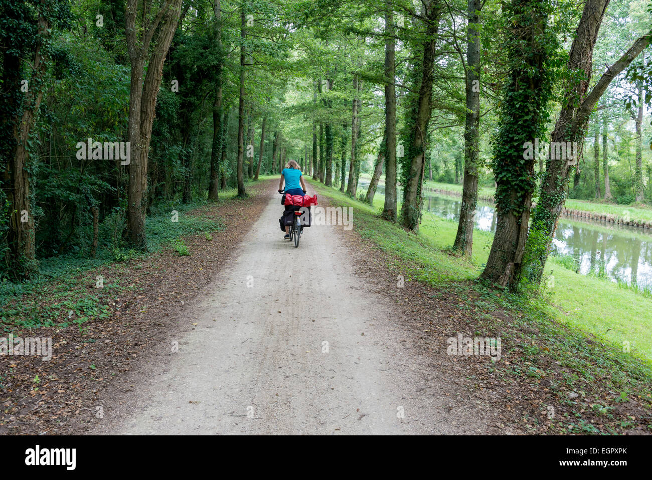 Radfahrer in Frankreich auf einer Straße mit Bäumen und Wasser. Stockfoto