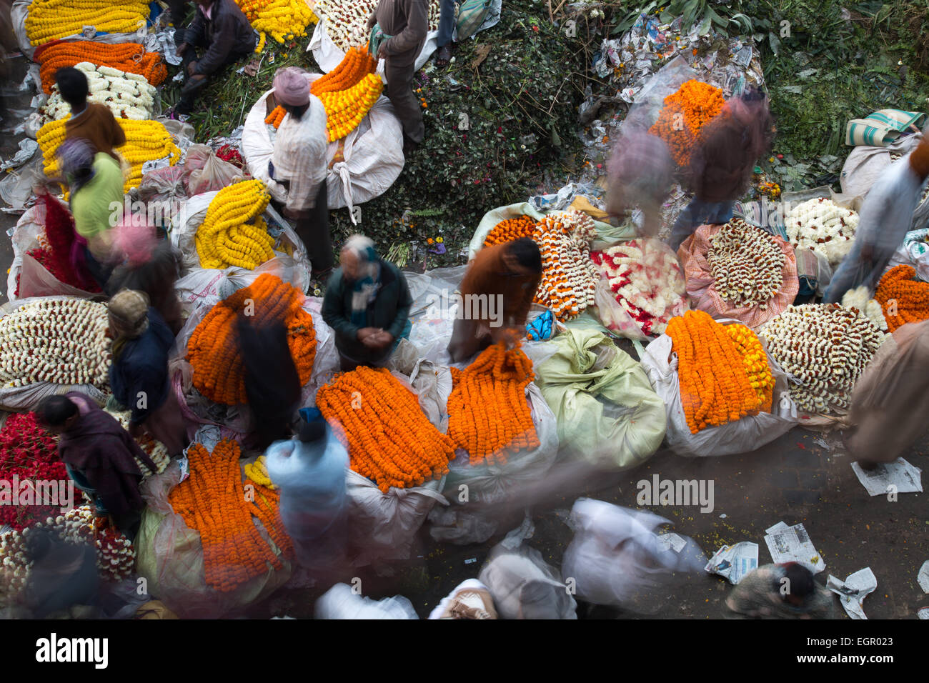 Blumenmarkt ist ein Großhandel, catering auf die Bedürfnisse von frischen Blumen von Kolkata. Stockfoto