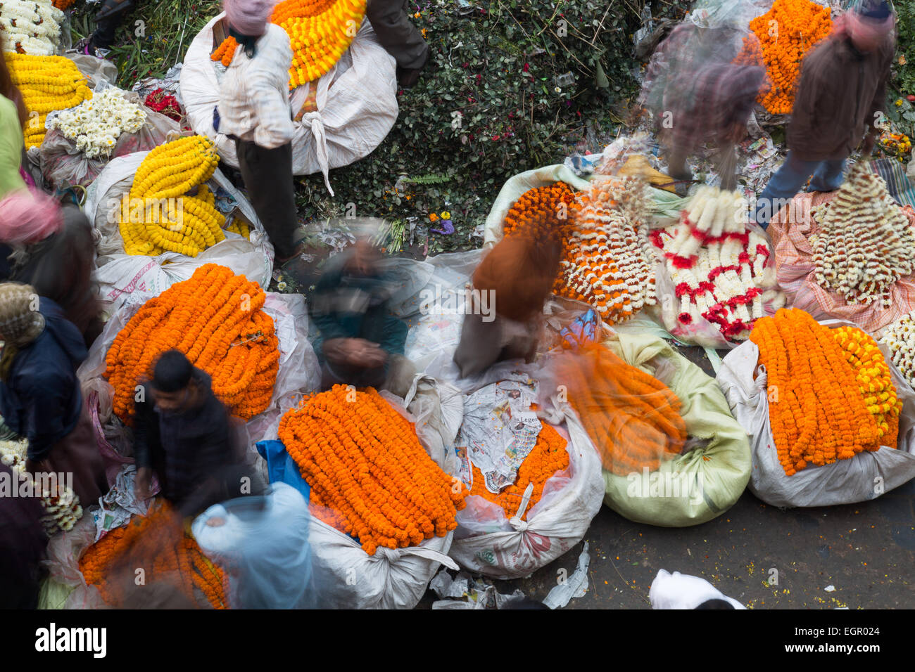 Blumenmarkt ist ein Großhandel, catering auf die Bedürfnisse von frischen Blumen von Kolkata. Stockfoto