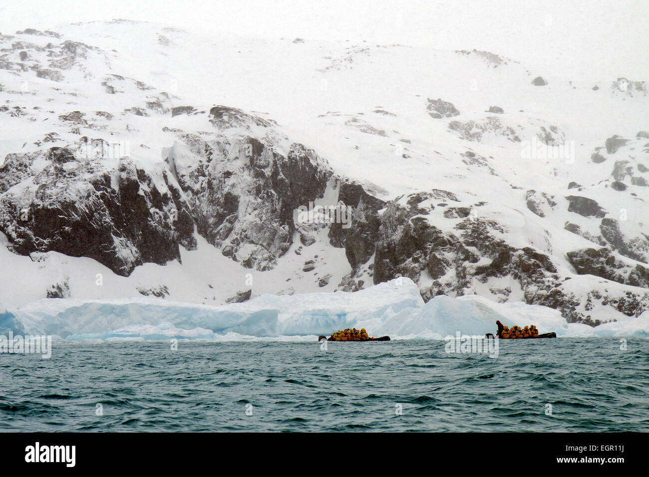 Touristen im Tierkreis starre Schlauchboote, Cierva Bucht, Antarktis Stockfoto